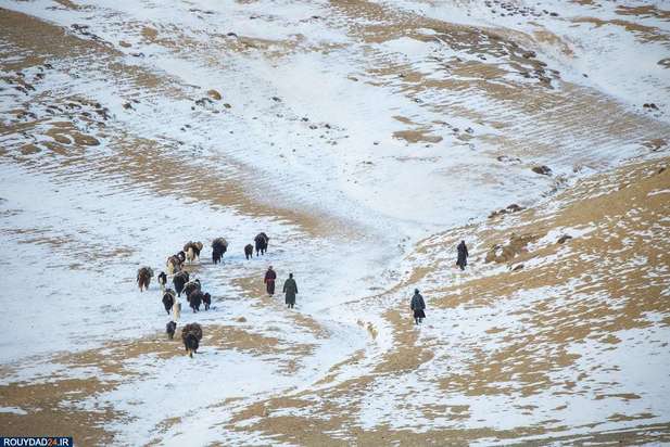 تصاویری از فلات تبت ، قطب سوم جهان 
