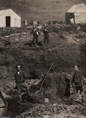 در جستجوی طلا