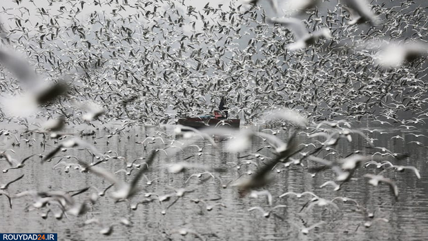 تصویر هفته اول سال 2020