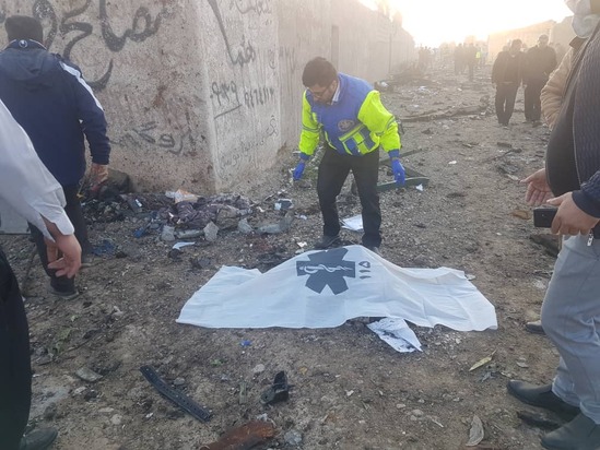 سقوط هواپیمای اوکراین