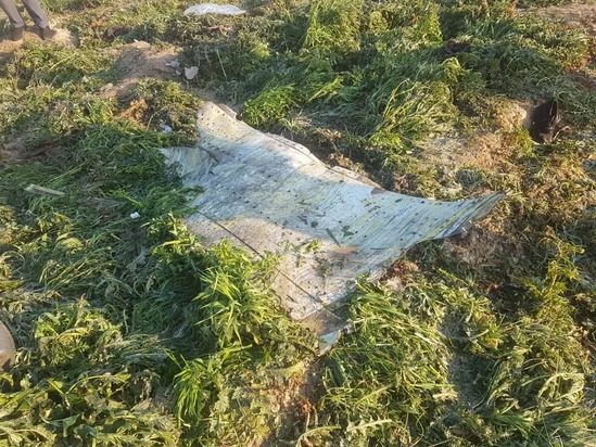 سقوط هواپیمای اوکراین