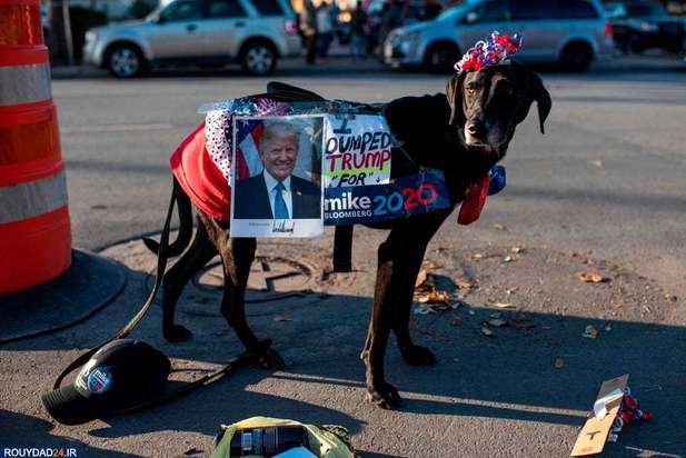 بهترین تصاویر روز یکشنبه