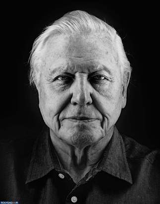 بهترن پرتره‌های نداف کاندرا