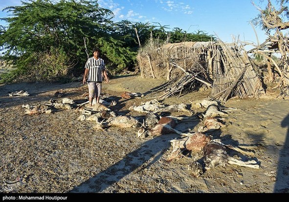 سیل سیستان و بلوچستان