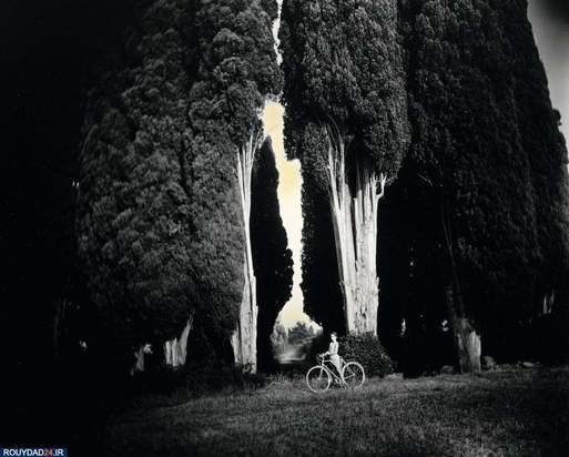 تاریخ عکاسی در دانشگاه توترودام