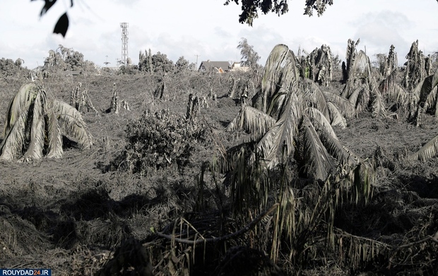 فوران آتشفشان فیلیپین