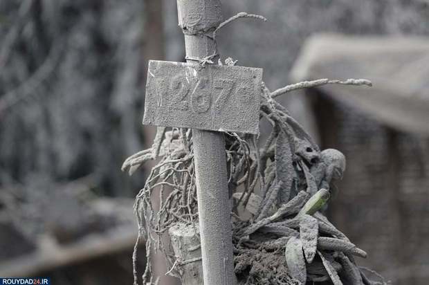 فوران آتشفشان فیلیپین