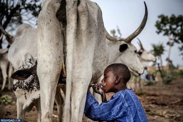 درگیری‌های مذهبی در نیجریه