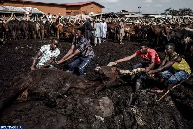 درگیری‌های مذهبی در نیجریه