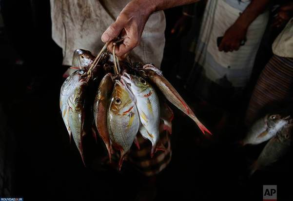 ماهیگیران یمنی