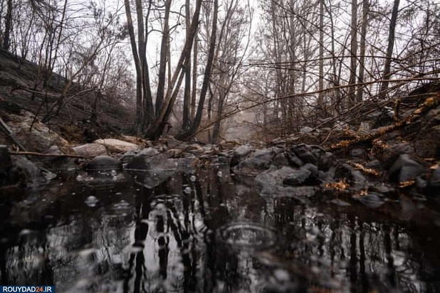 باران شدید در استرالیا بدنبال آتش سوزیهای ویرانگر اخیر