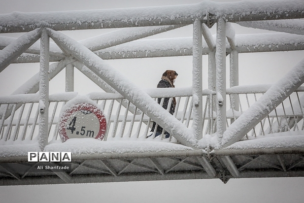 برف تهران