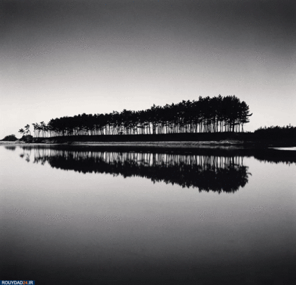 درختان جادویی مایکل کنا