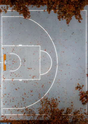 زمین بسکتبال
