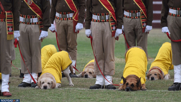 سالگرد جمهوری هند