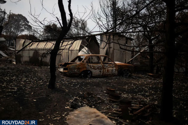 پس از آتشسوزی استرالیا