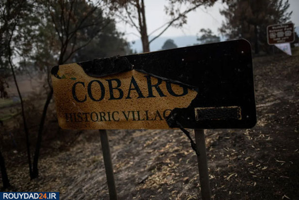 پس از آتشسوزی استرالیا