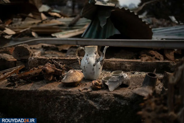 پس از آتشسوزی استرالیا