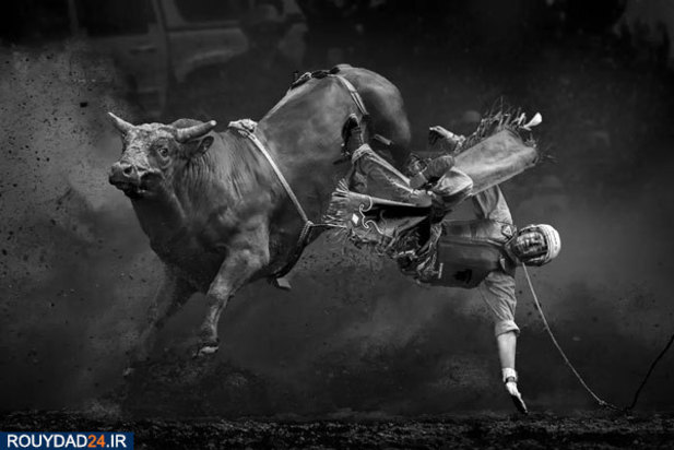 مونو فستیوال