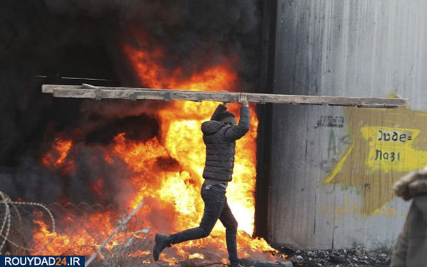 معامله قرن +تصاویر