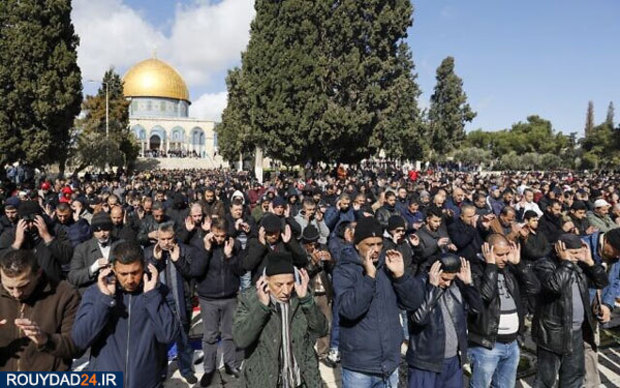 معامله قرن +تصاویر