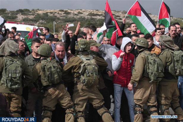 معامله قرن +تصاویر