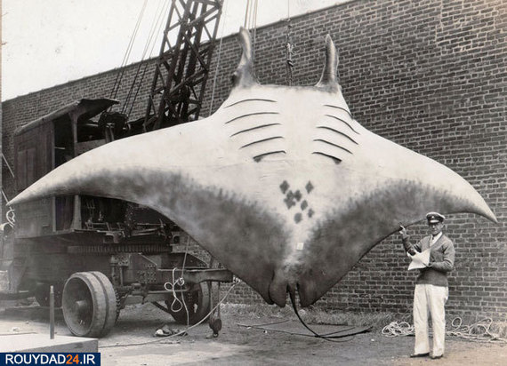 تصاویر چالش برانگیز تاریخی