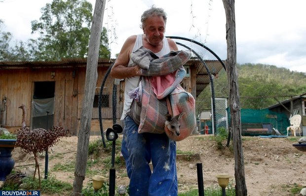 نجات بچه کانگوروها