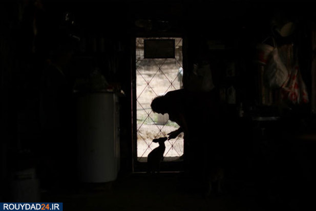 نجات بچه کانگوروها