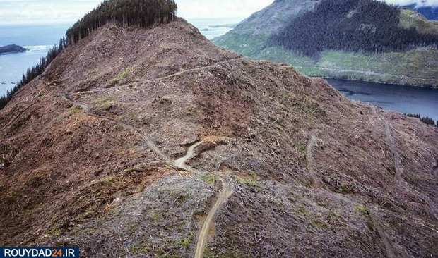 تاثیر مخرب بشر بر روی سیارات