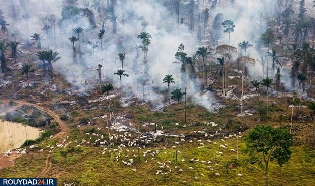 تاثیر مخرب بشر بر روی سیارات