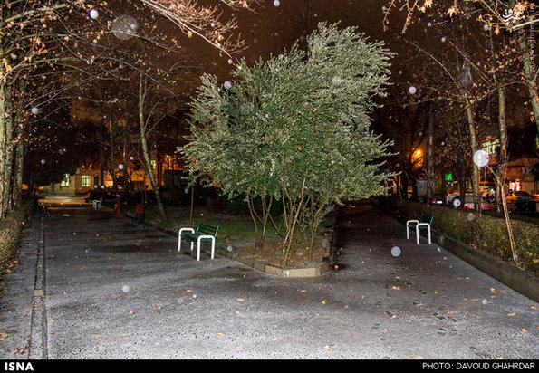 بارش برف در تهران