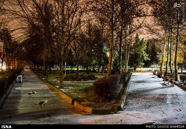 بارش برف در تهران