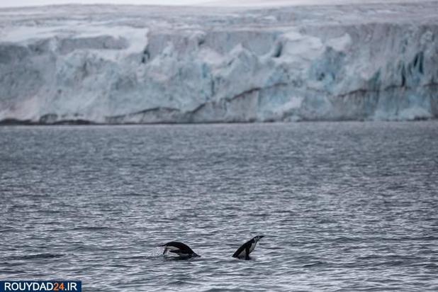 تصاویری از سرزمین زیبای قطب جنوب