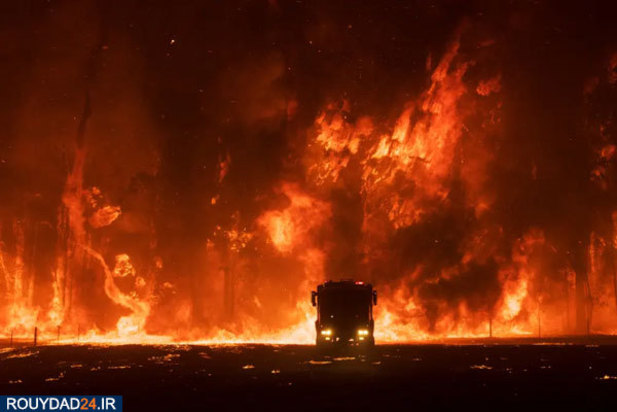 جشنواره عکاسی سونی 2020