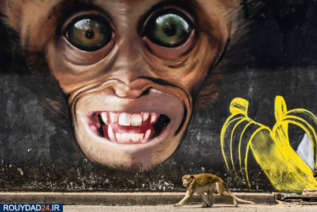 جشنواره عکاسی سونی 2020