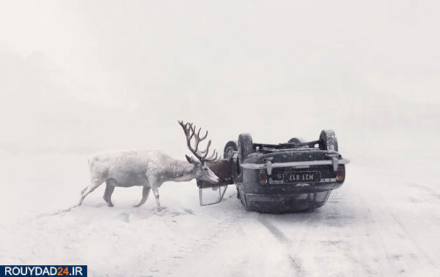 عکس‌های برتر جشنواره عکاسی سونی از سال 2012 تتا 2017