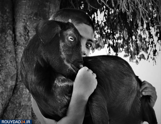 عکس‌های برتر جشنواره عکاسی سونی از سال 2012 تتا 2017