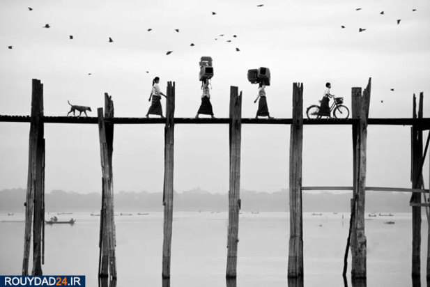 عکس‌های برتر جشنواره عکاسی سونی از سال 2012 تتا 2017