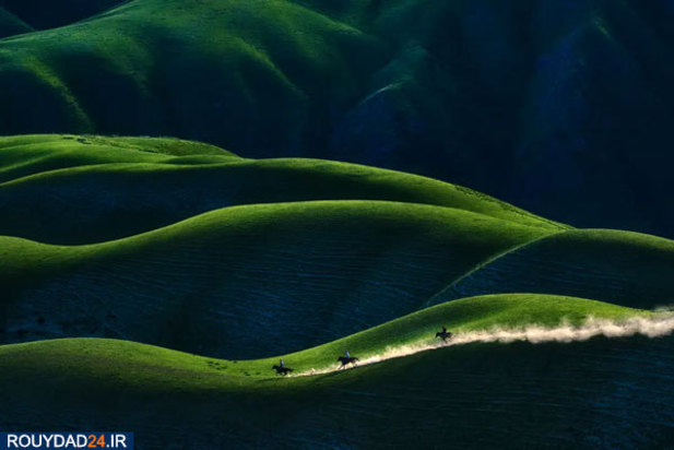 عکس‌های برتر جشنواره عکاسی سونی از سال 2012 تتا 2017