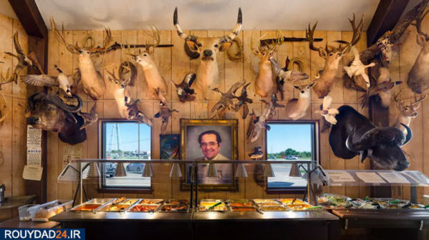 عکس‌های برتر جشنواره عکاسی سونی از سال 2012 تتا 2017