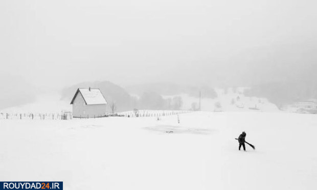 عکس‌های برتر جشنواره عکاسی سونی از سال 2012 تتا 2017