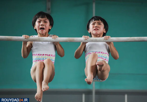 عکس‌های برتر جشنواره عکاسی سونی از سال 2012 تتا 2017