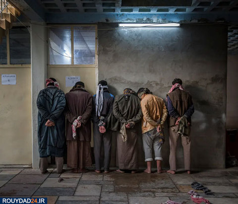 عکس‌های برتر جشنواره عکاسی سونی از سال 2012 تتا 2017