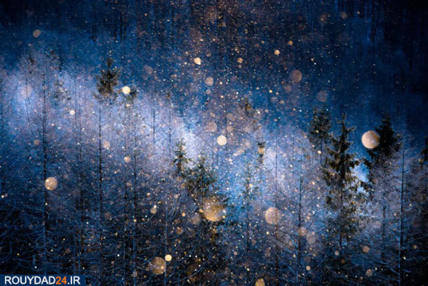 عکس‌های برتر جشنواره عکاسی سونی از سال 2012 تتا 2017