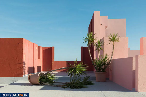 عکس‌های برتر جشنواره عکاسی سونی از سال 2012 تتا 2017