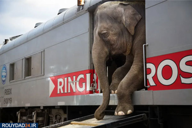 عکس‌های برتر جشنواره عکاسی سونی از سال 2012 تتا 2017