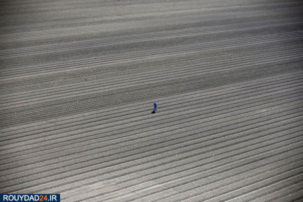 عکس‌های برتر جشنواره عکاسی سونی از سال 2012 تتا 2017