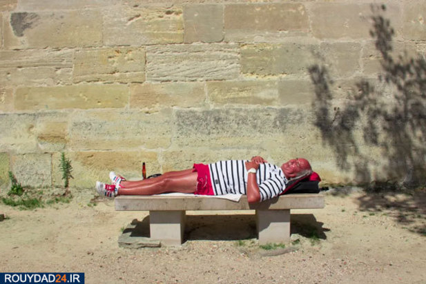 عکس‌های برتر جشنواره عکاسی سونی از سال 2012 تتا 2017