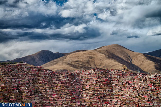 عکس‌های برتر جشنواره عکاسی سونی از سال 2012 تتا 2017